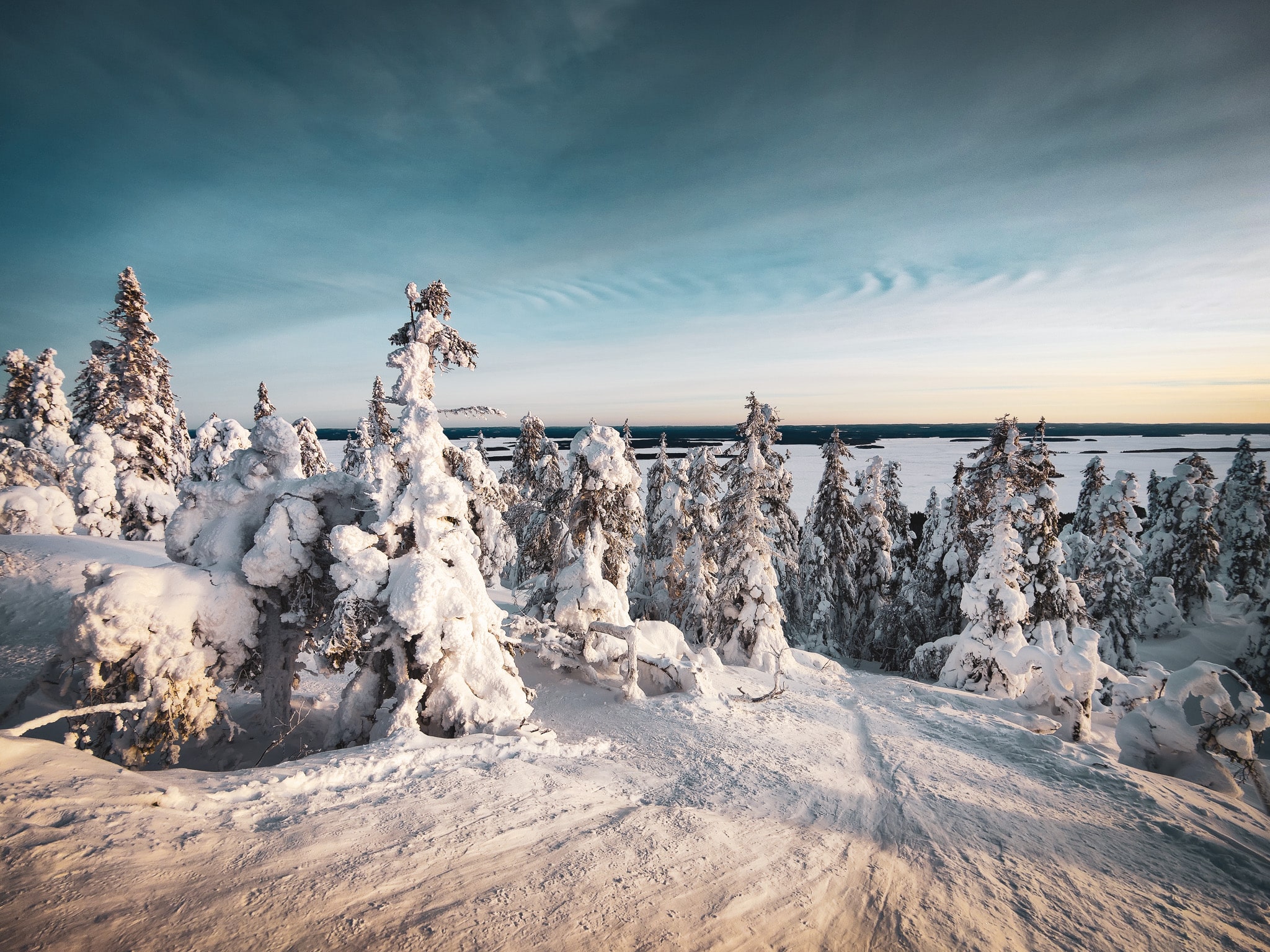 Koli Nationaal Park in de winter